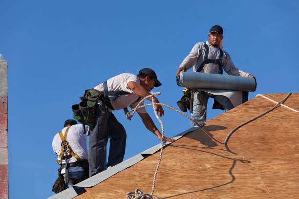 Best Roof Waterproofing Services  in Athens, OH